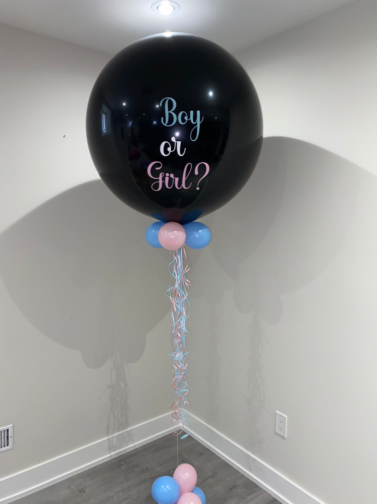 Gender Reveal Balloon